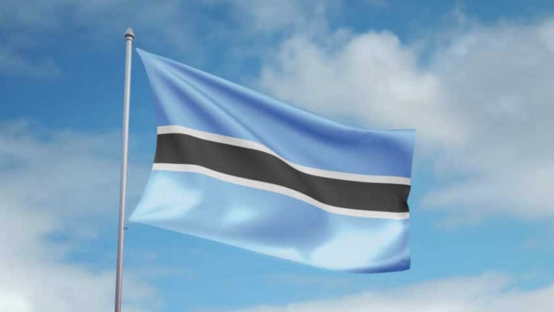 expat communities in Africa expat communities in Africa
