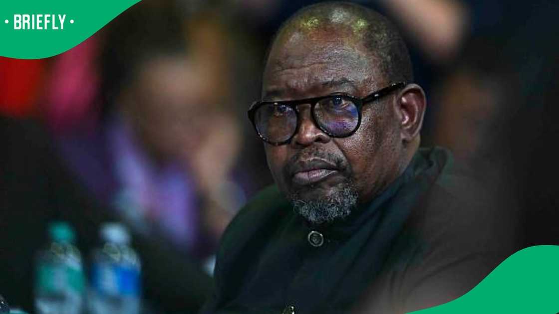 Minister Godongwana Minister Godongwana