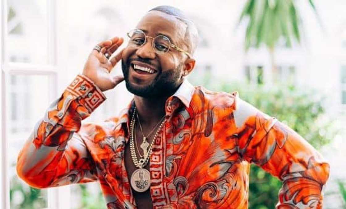 family tree records
family tree cassper nyovest
family tree record label
family tree media
cassper nyovest record label