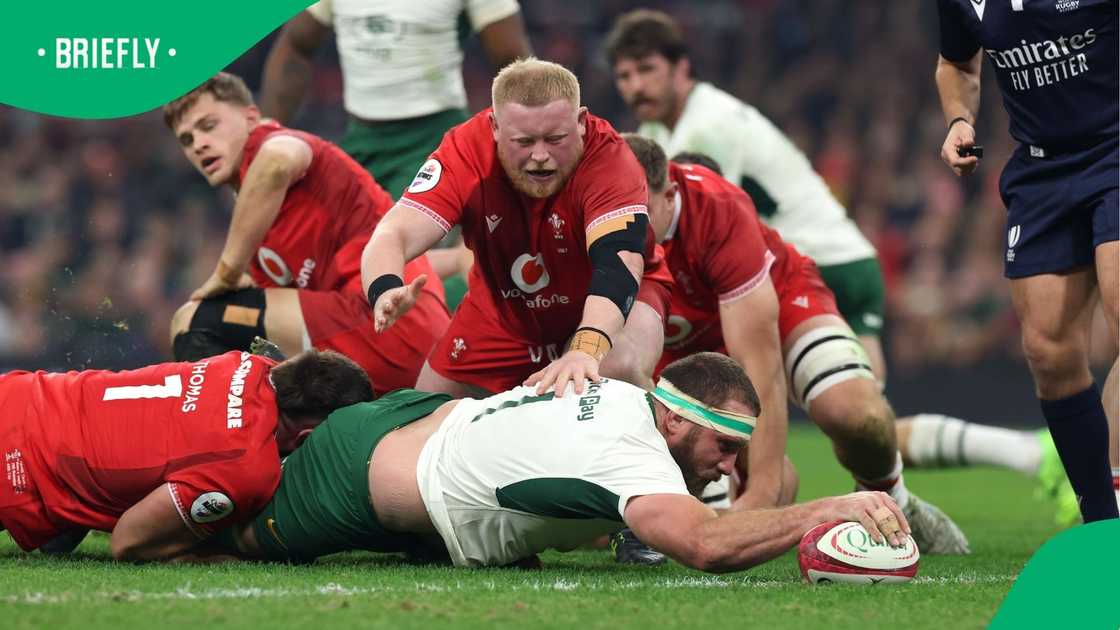 Springboks, Gerhard Steenekamp,Quilter Nations Series 2025, Wales. Springboks, Gerhard Steenekamp,Quilter Nations Series 2025, Wales.