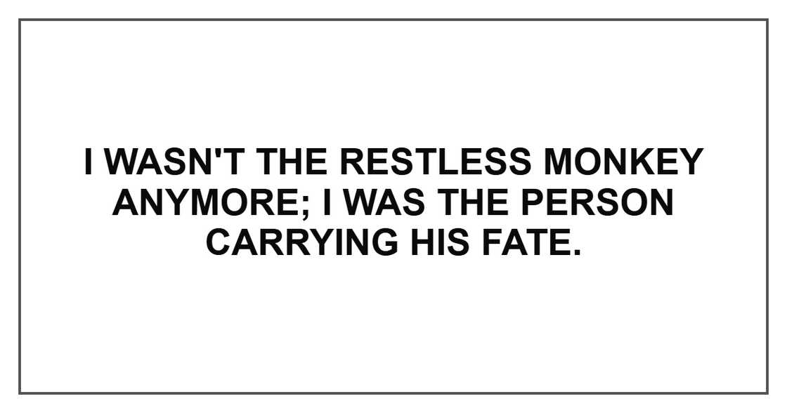 I wasn't the restless Monkey anymore; I was the person carrying his fate.
