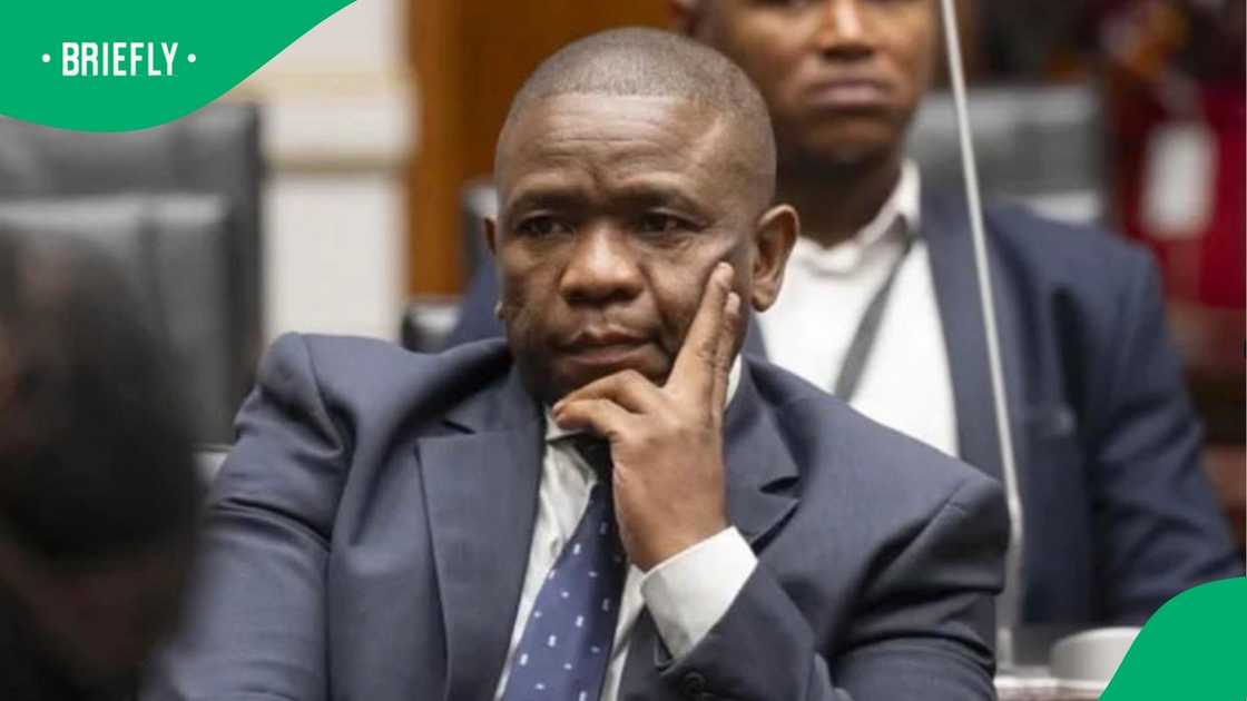 Former IPID head Robert McBride admitted in testimony before parliament’s ad hoc committee that he did consult O’Sullivan during his tenure, but denied that IPID had been captured by him. Former IPID head Robert McBride admitted in testimony before parliament’s ad hoc committee that he did consult O’Sullivan during his tenure, but denied that IPID had been captured by him.