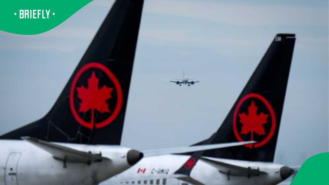 An aircraft was seen approaching for a landing in the distance, perfectly framed between the black tail fins of two parked Air Canada planes
