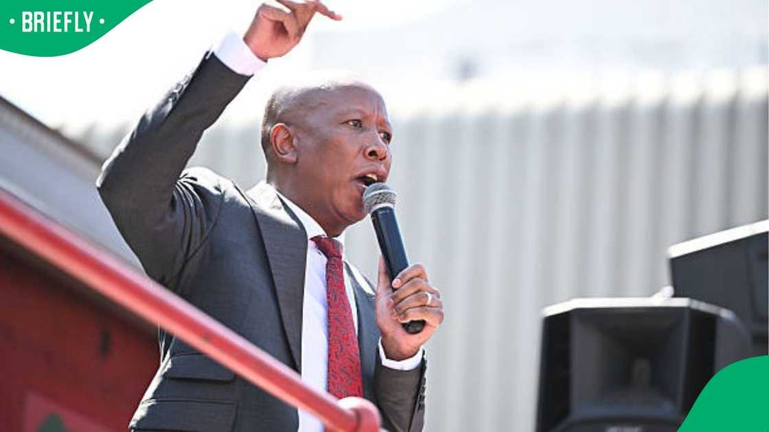 Julius Malema Julius Malema