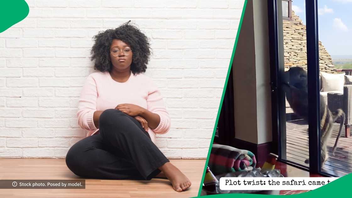 TikTok users advised a lady to always make sure her doors were locked while on vacation at a safari in Tanzania TikTok users advised a lady to always make sure her doors were locked while on vacation at a safari in Tanzania