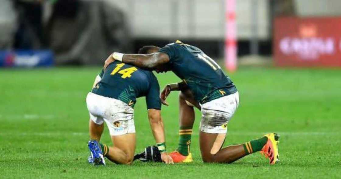 Springboks, Cheslin Kolbe, Prayer, South Africa