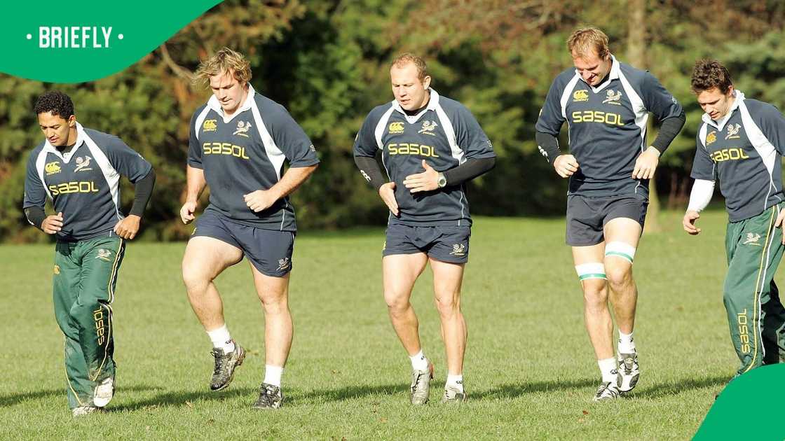 Gary Botha, Springboks, South Africa, Breyton Paulse