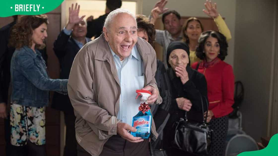 My Big Fat Greek Wedding cast My Big Fat Greek Wedding cast