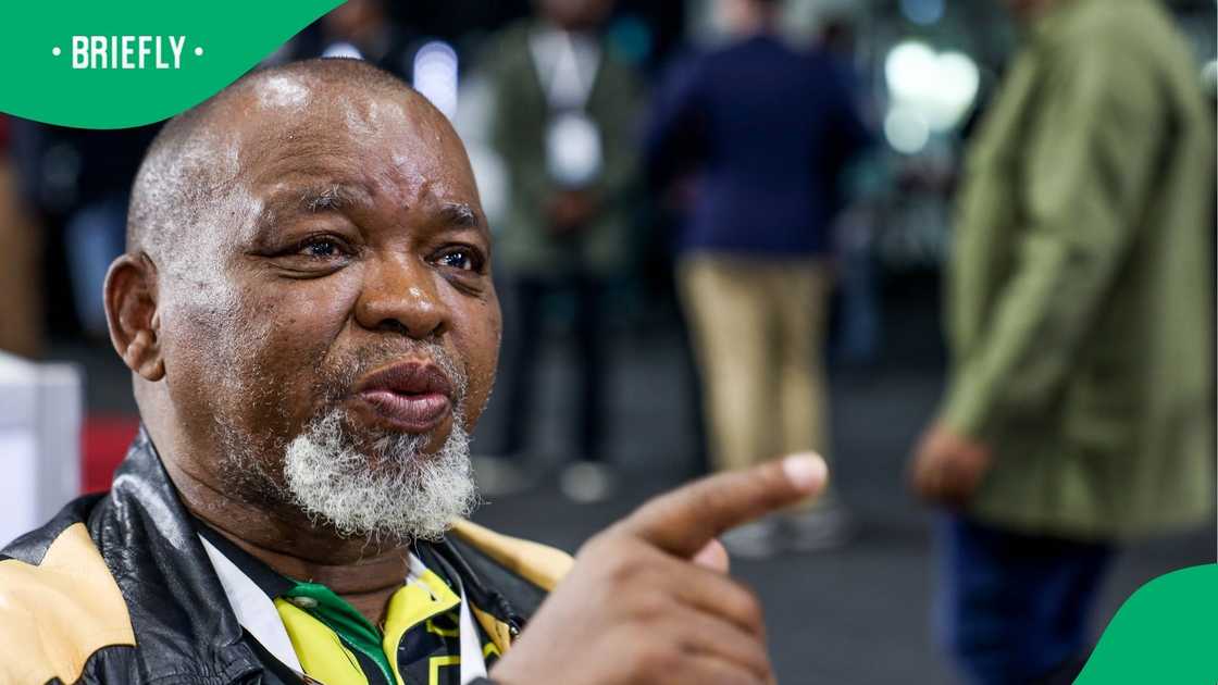 Gwede Mantashe has divided the nation with his latest comments Gwede Mantashe has divided the nation with his latest comments