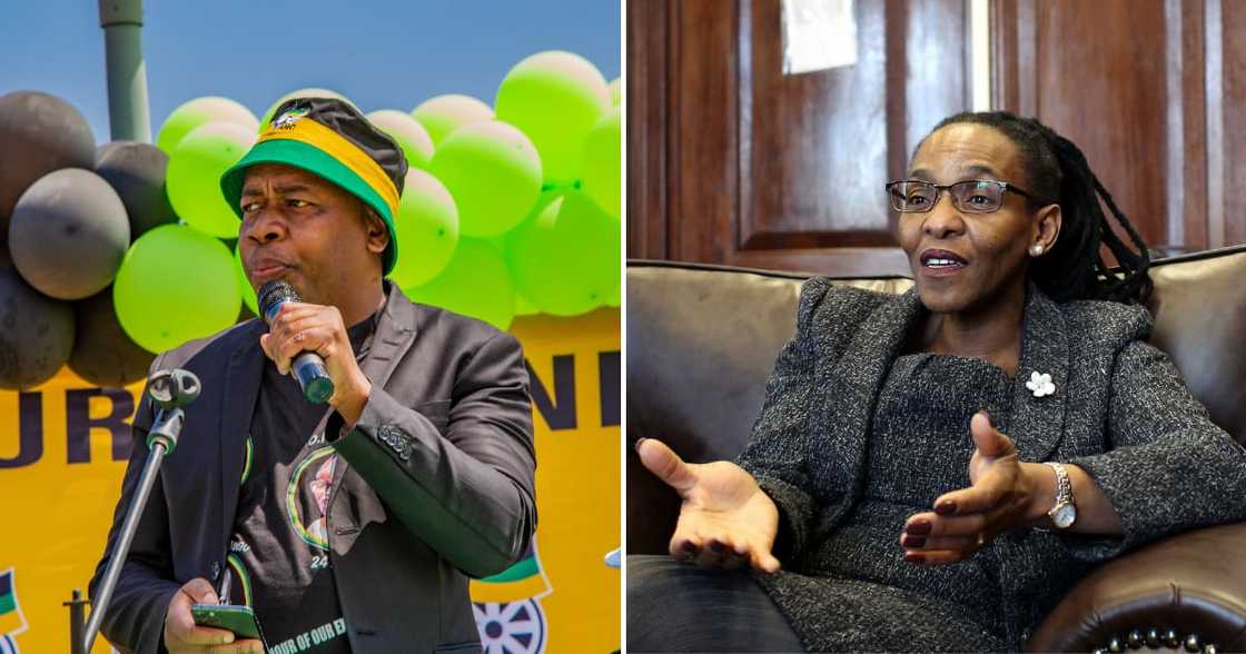 Ex Ekhurhuleni mayor, Mzwandile Masina, calls for politicians to resign at the age of 65, Justice Maya Ex Ekhurhuleni mayor, Mzwandile Masina, calls for politicians to resign at the age of 65, Justice Maya