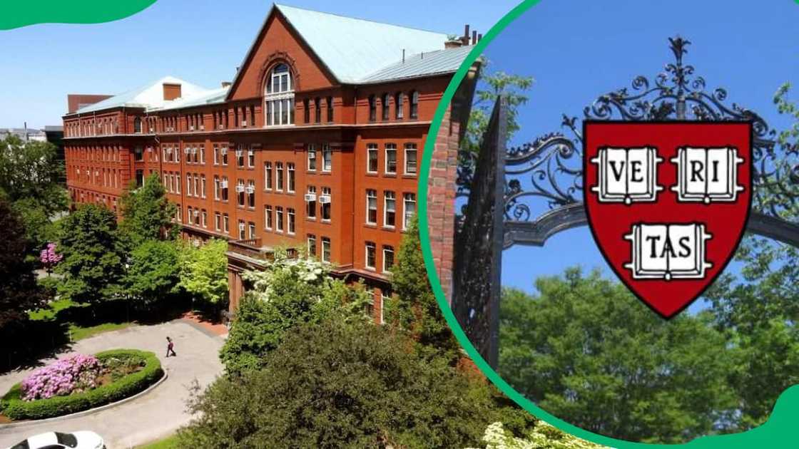 Harvard University Harvard University