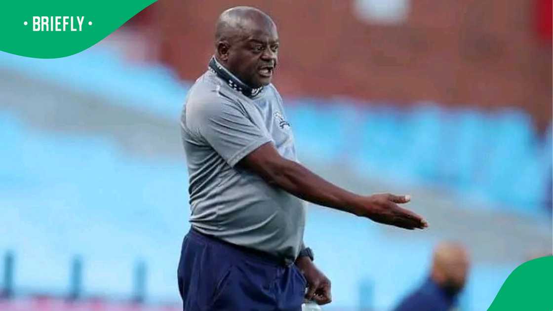 Dan Malesela, former head coach of Marumo Gallants, during a match. Dan Malesela, former head coach of Marumo Gallants, during a match.