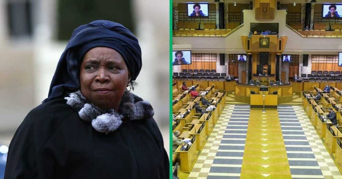 Nkosazana Dlamini-Zuma reisgns as MP