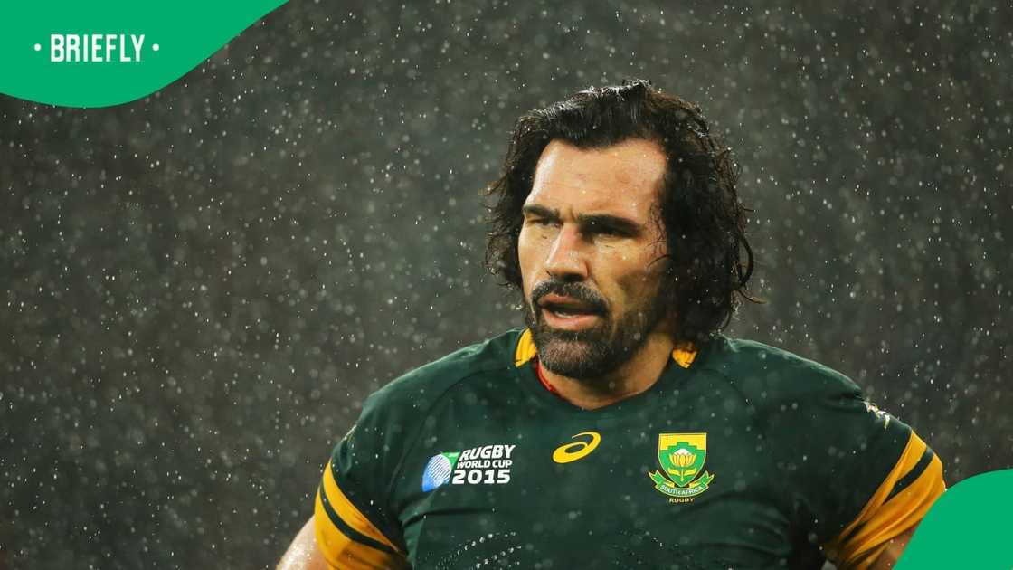Springboks, South Africa, Victor Matfield Springboks, South Africa, Victor Matfield