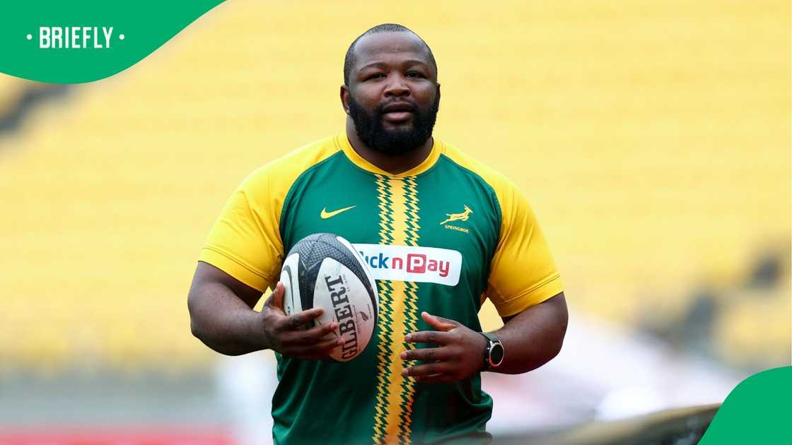 Ox Nche, South Africa, Springboks, New Zealand, Wellington. Ox Nche, South Africa, Springboks, New Zealand, Wellington.