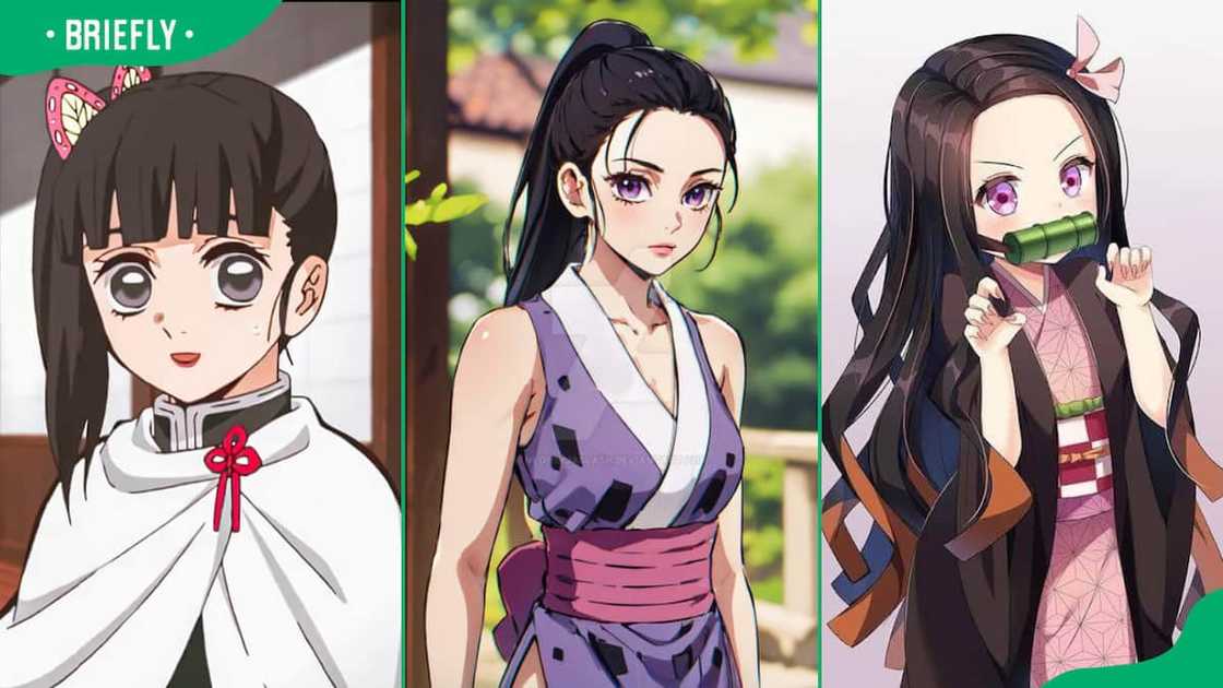 Demon Slayer girl characters Demon Slayer girl characters