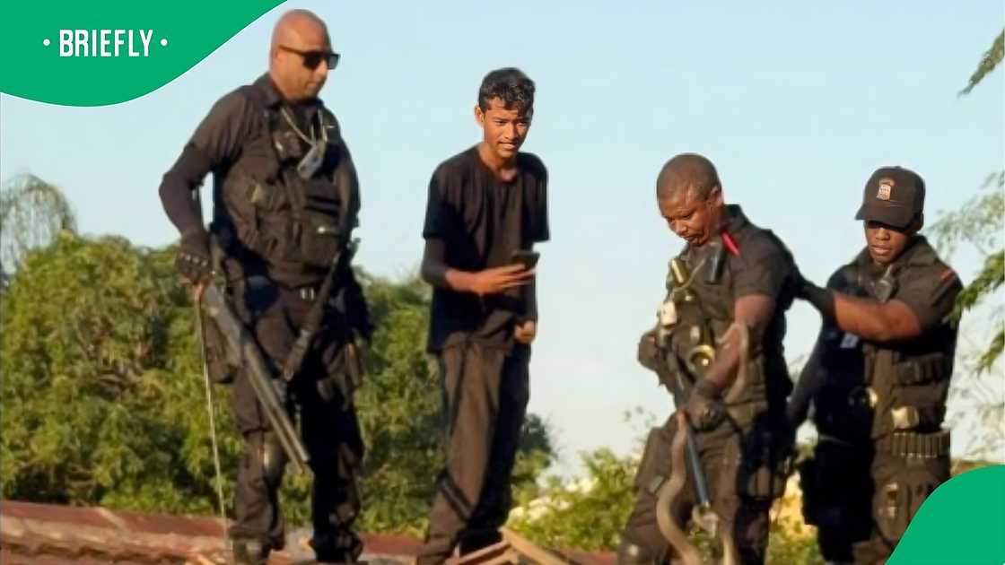 RUSA caught large black mamba in KZN RUSA caught large black mamba in KZN