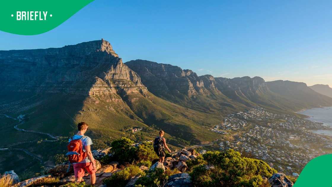 Table Mountain view from Lion's Head