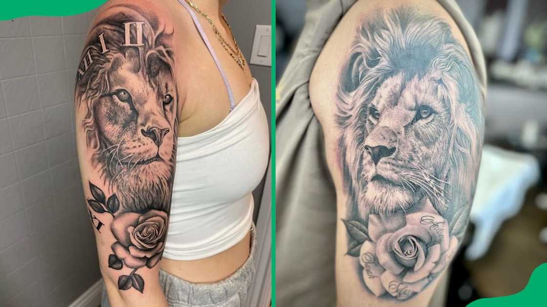 Lion and rose tattoo