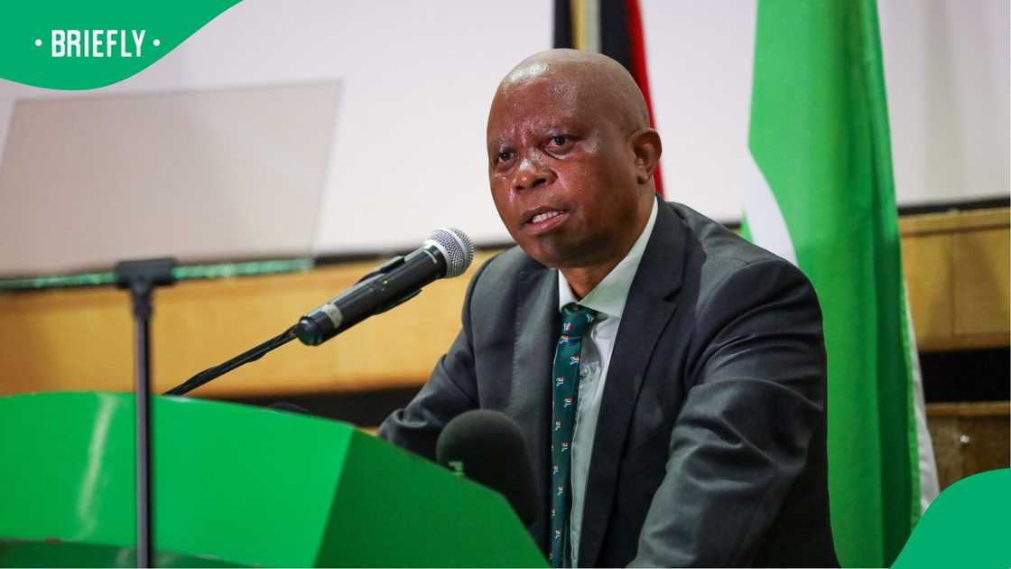 Herman Mashaba is not threatened by the DA’s decision to field Helen Zille as a mayoral candidate