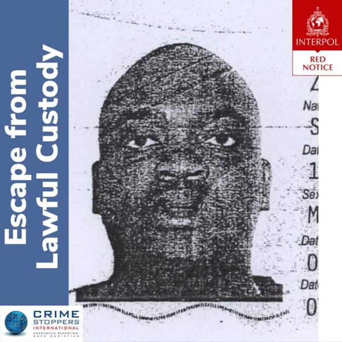 Wanted criminals Wanted criminals