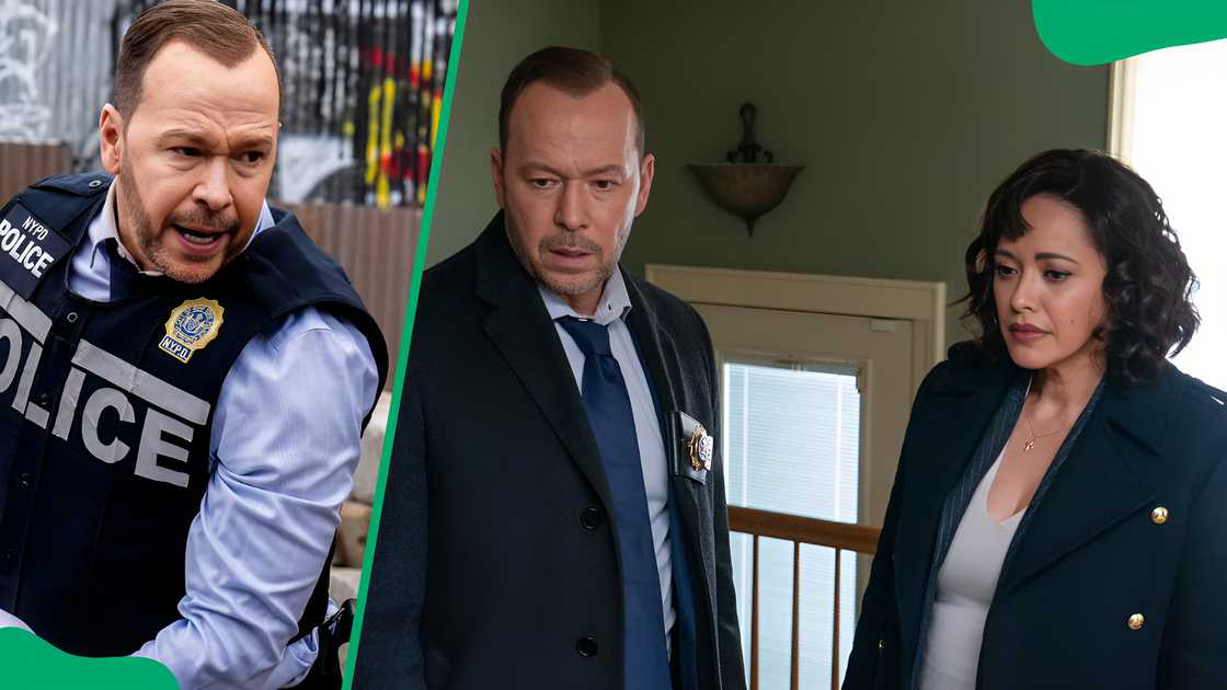 Blue Bloods' Danny Reagan and Maria Baez Blue Bloods' Danny Reagan and Maria Baez
