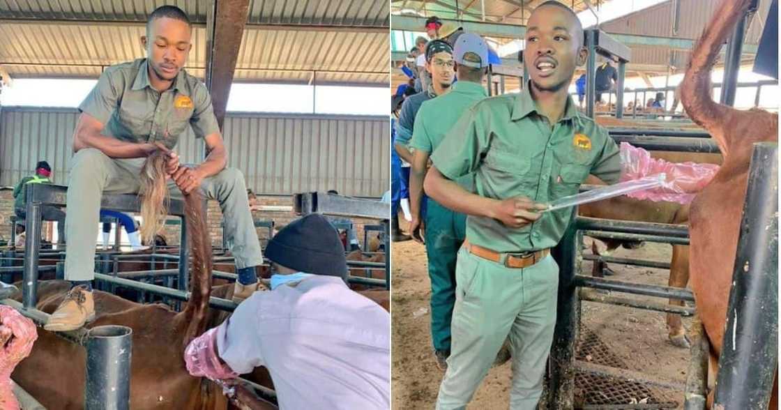 Young, Farmer, Shows, Mzansi, Questions Young, Farmer, Shows, Mzansi, Questions