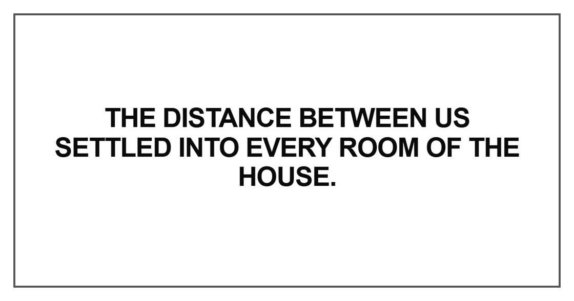 The distance between us settled into every room of the house