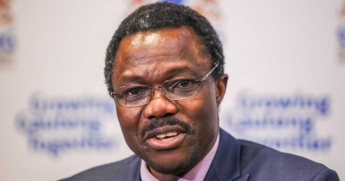 United Nations, attacks, foreign nationals, South Africa, concerning, immigrants, operation dudula United Nations, attacks, foreign nationals, South Africa, concerning, immigrants, operation dudula