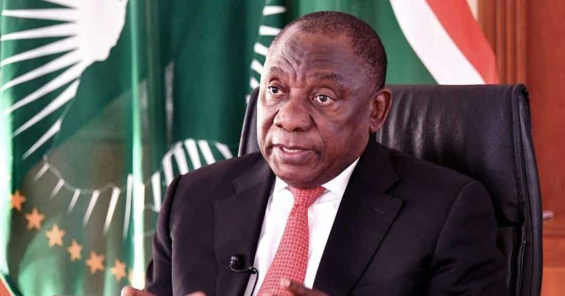 Millions of dollars were stolen at President Cyril Ramaphosa's Phala Phala farm in 2020