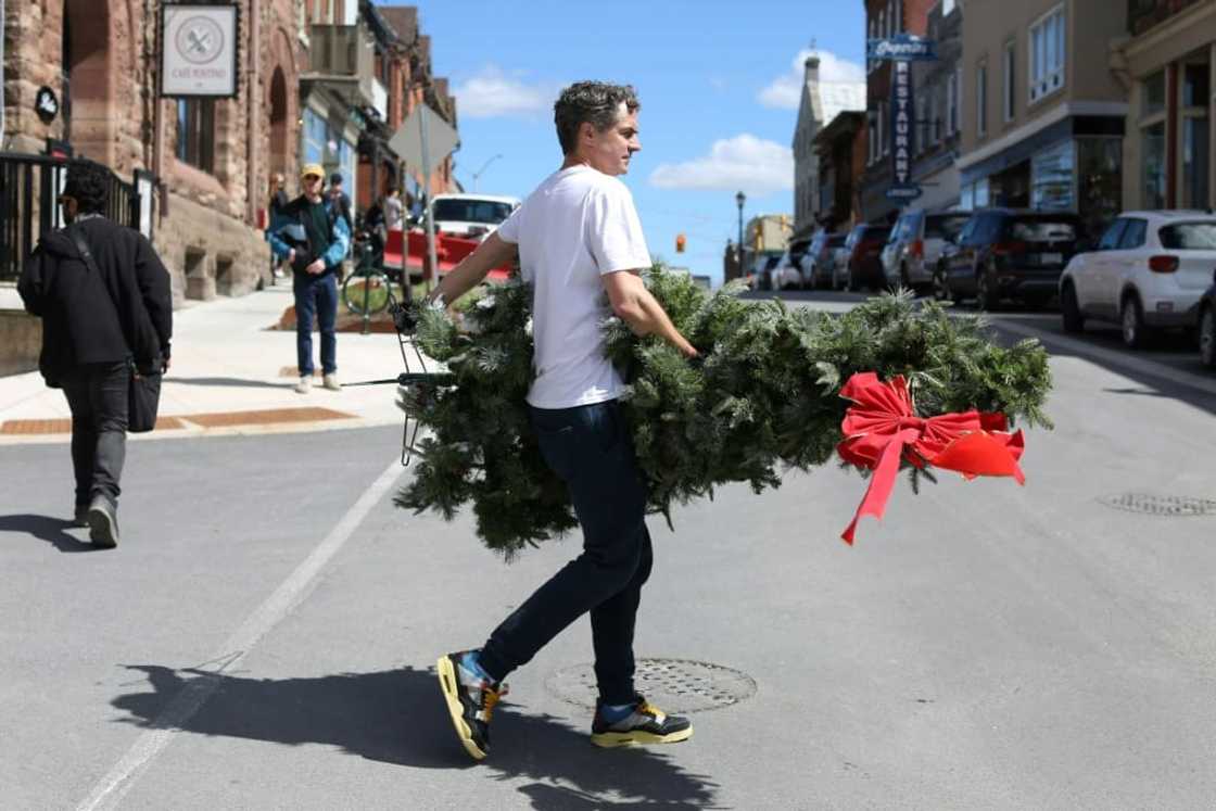 A set decorator carries a Christmas tree during filming of 'Hocus Pocus Christmas' on April 16 in Almonte, Ontario, just outside Ottawa A set decorator carries a Christmas tree during filming of 'Hocus Pocus Christmas' on April 16 in Almonte, Ontario, just outside Ottawa