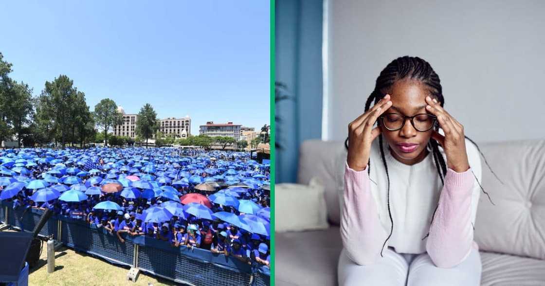A black member of the DA angered SA after she demanded that apartheid must be brought back A black member of the DA angered SA after she demanded that apartheid must be brought back