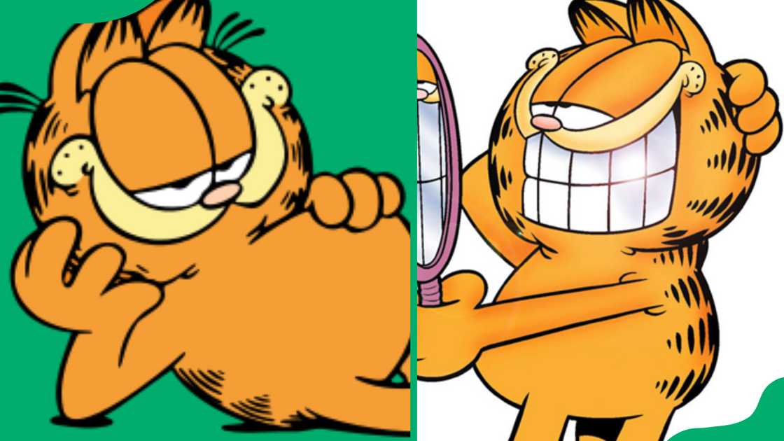 Garfield from Garfield.