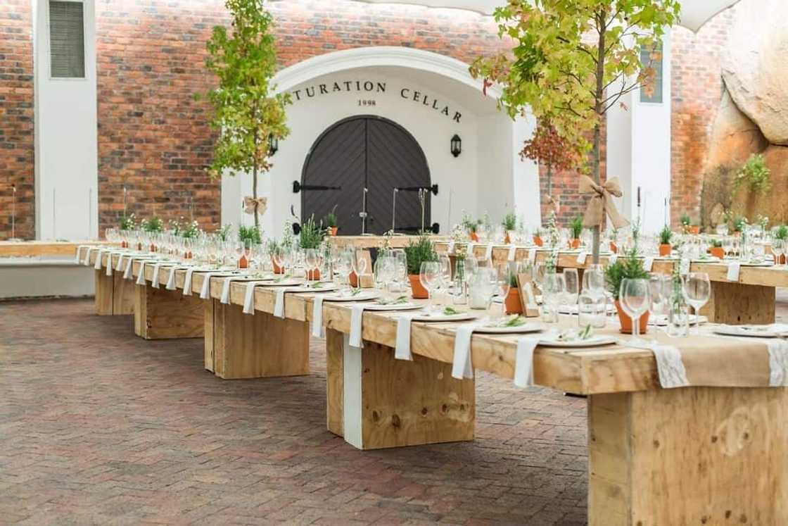 15 breathtaking forest wedding venues Cape Town