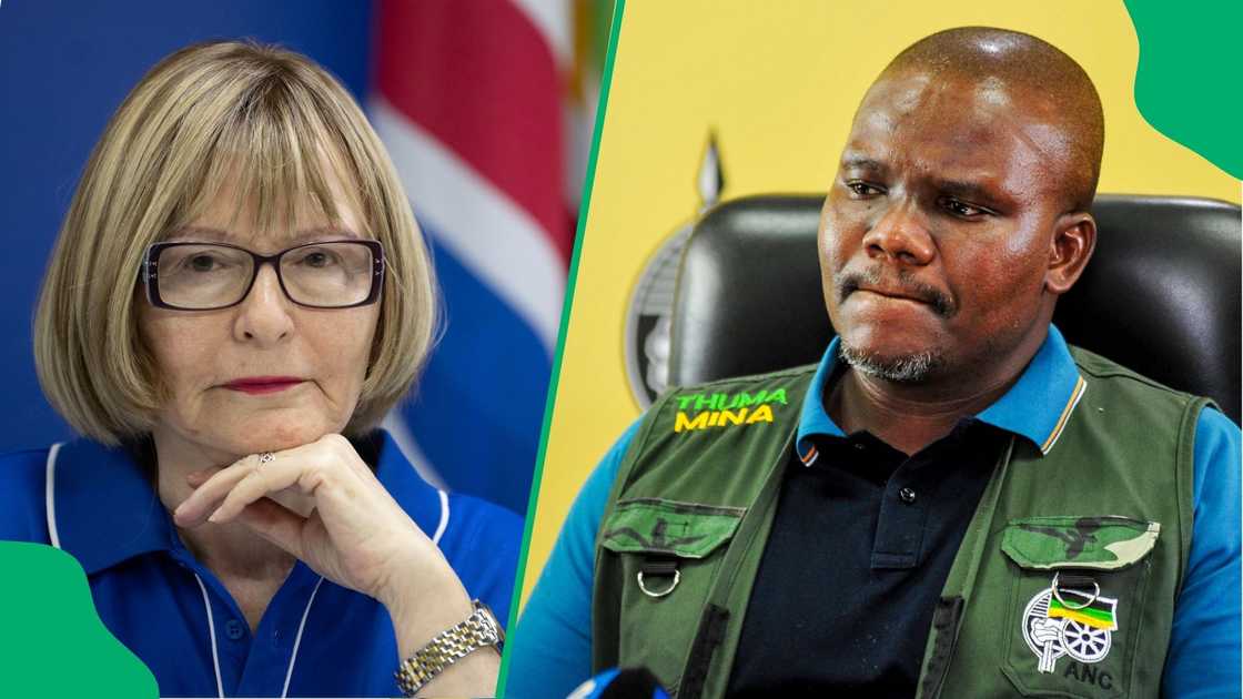 The DA"s Helen Zille and ANC Chief Whip Mdumiseni Ntuli.