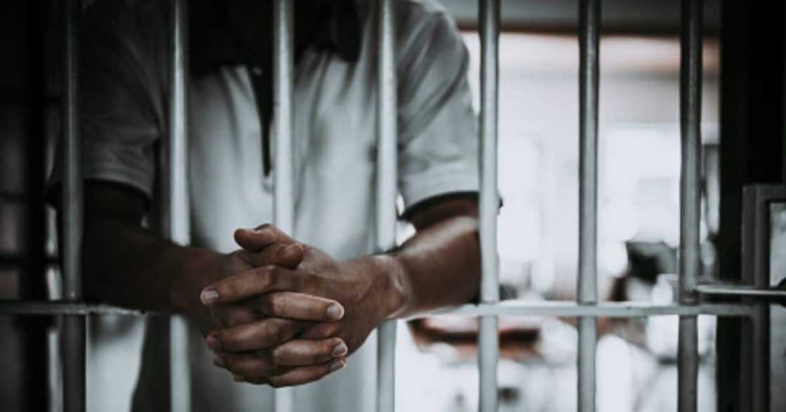 apaolice arrest suspect apaolice arrest suspect