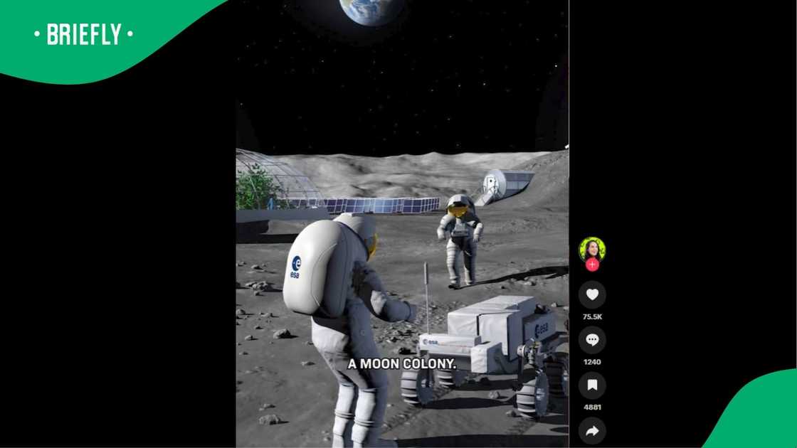 A post went viral. A post went viral.