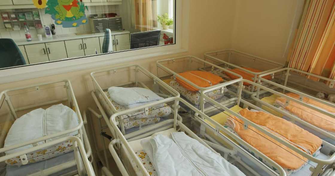 Thelle Mogoerane Hospital, Joburg Moms, Gauteng Department of Health, Johannesburg, Babies Swapped at Birth