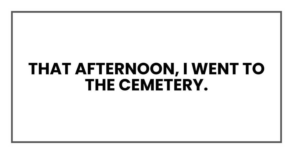 That afternoon, I went to the cemetery. That afternoon, I went to the cemetery.