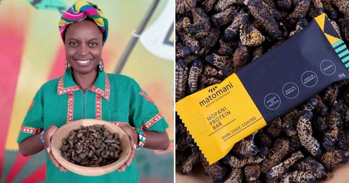 A businesswoman makes various food products from mopane worms A businesswoman makes various food products from mopane worms