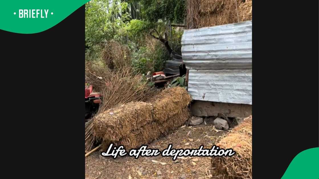 A woman shared a video detailing her life now after deportation. A woman shared a video detailing her life now after deportation.