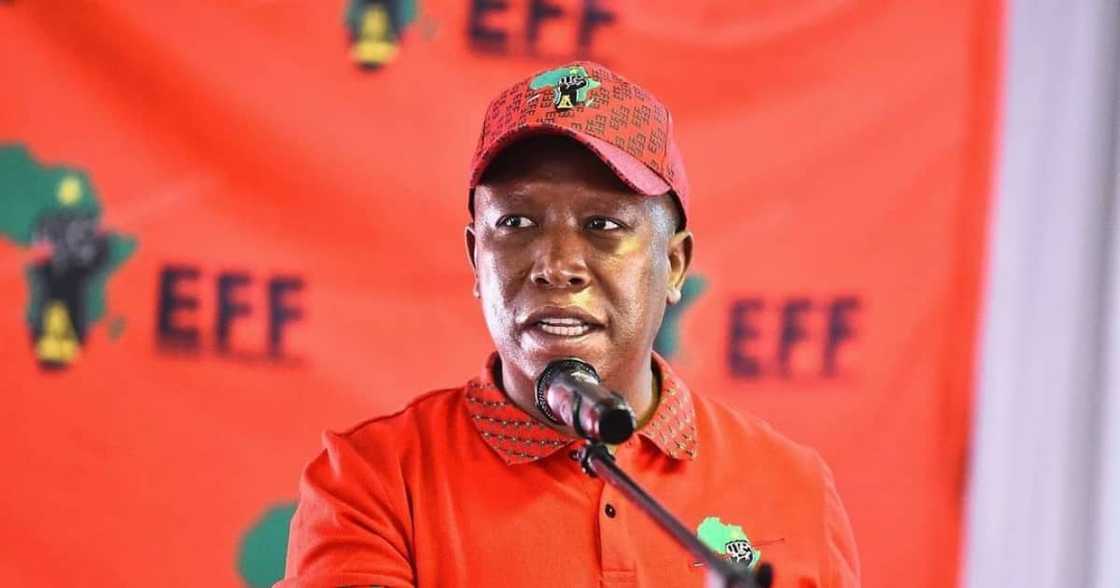 Malema, Economic Freedom Fighters, IEC, donations, over 100k Malema, Economic Freedom Fighters, IEC, donations, over 100k