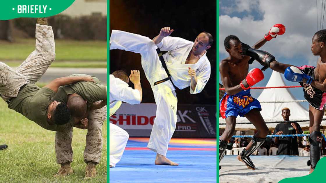 Systema, Kyokushin Karate, and Muay Thai