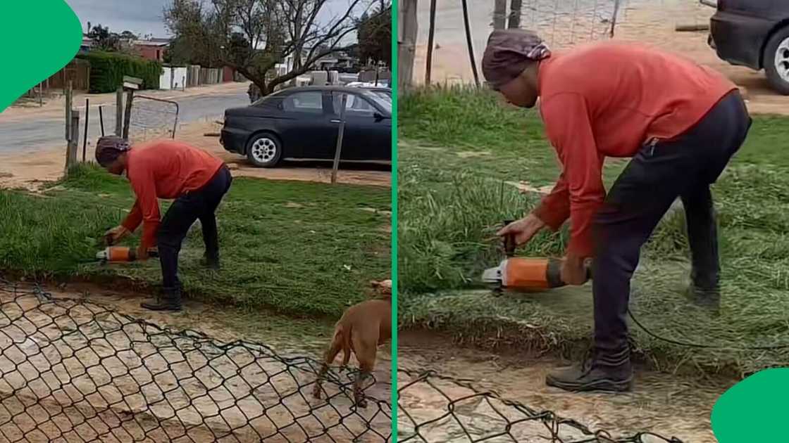 A TikTok video shows a man cutting his grass with a grinder machine.