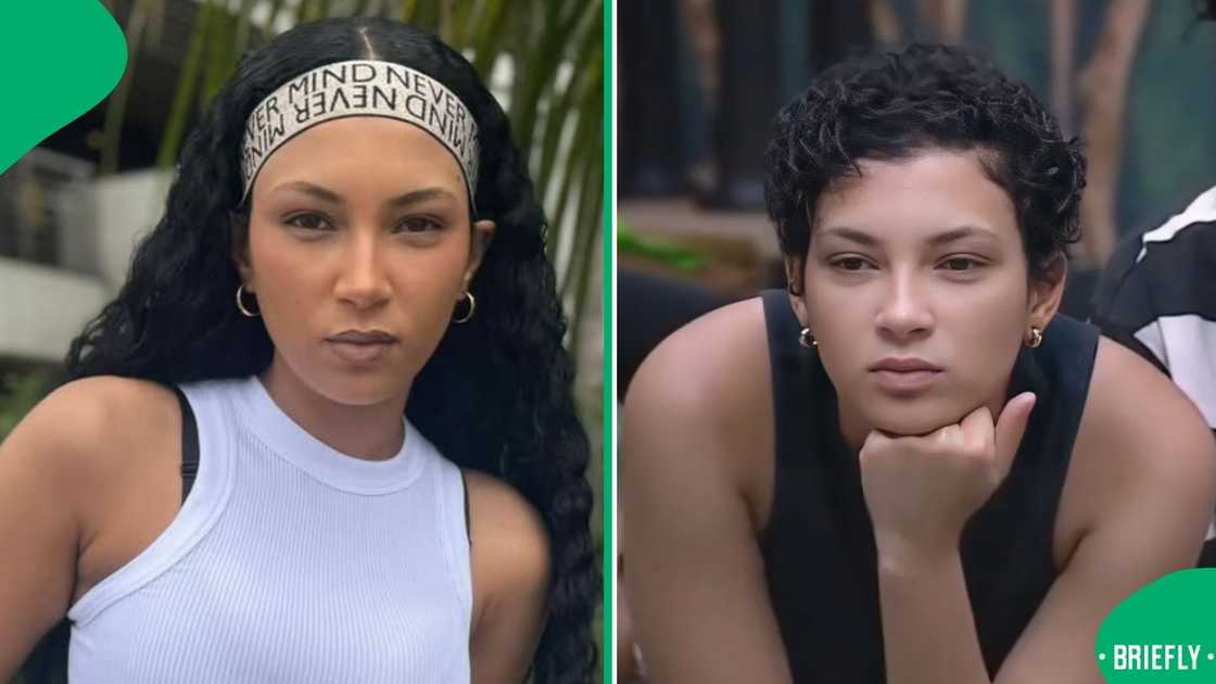 Ashley Ogle was kicked out of 'Big Brother Mzansi' Ashley Ogle was kicked out of 'Big Brother Mzansi'