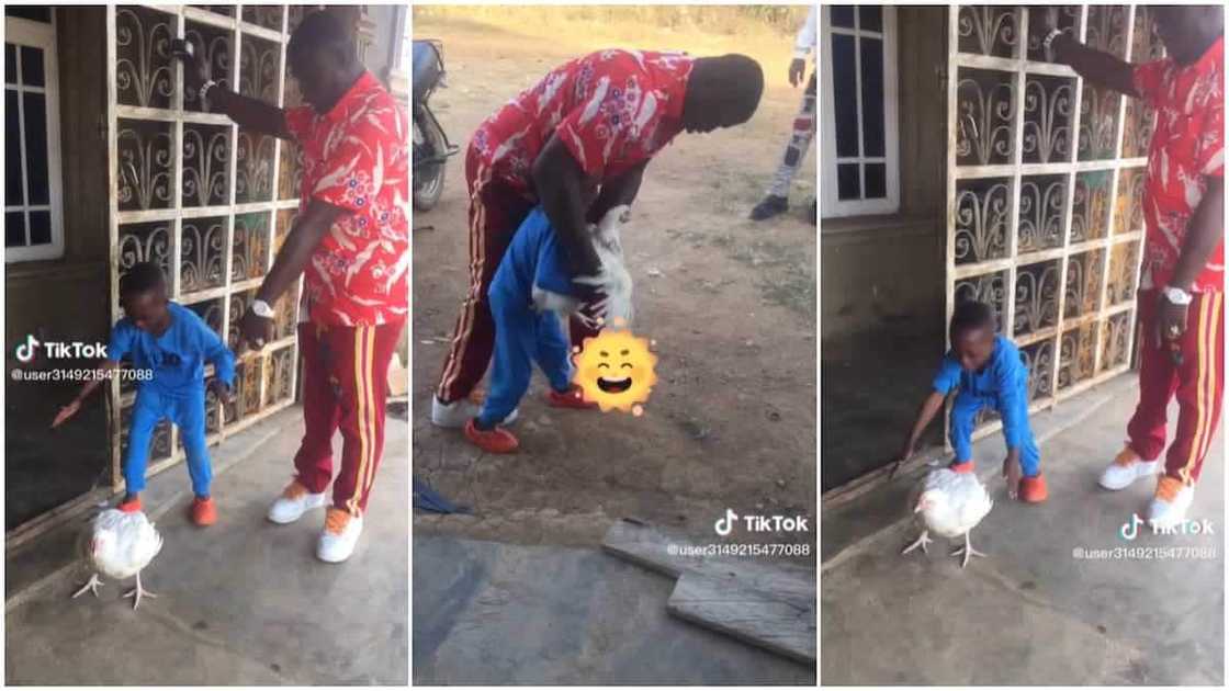 Father and son/boy cried and couldn't lift chicken.