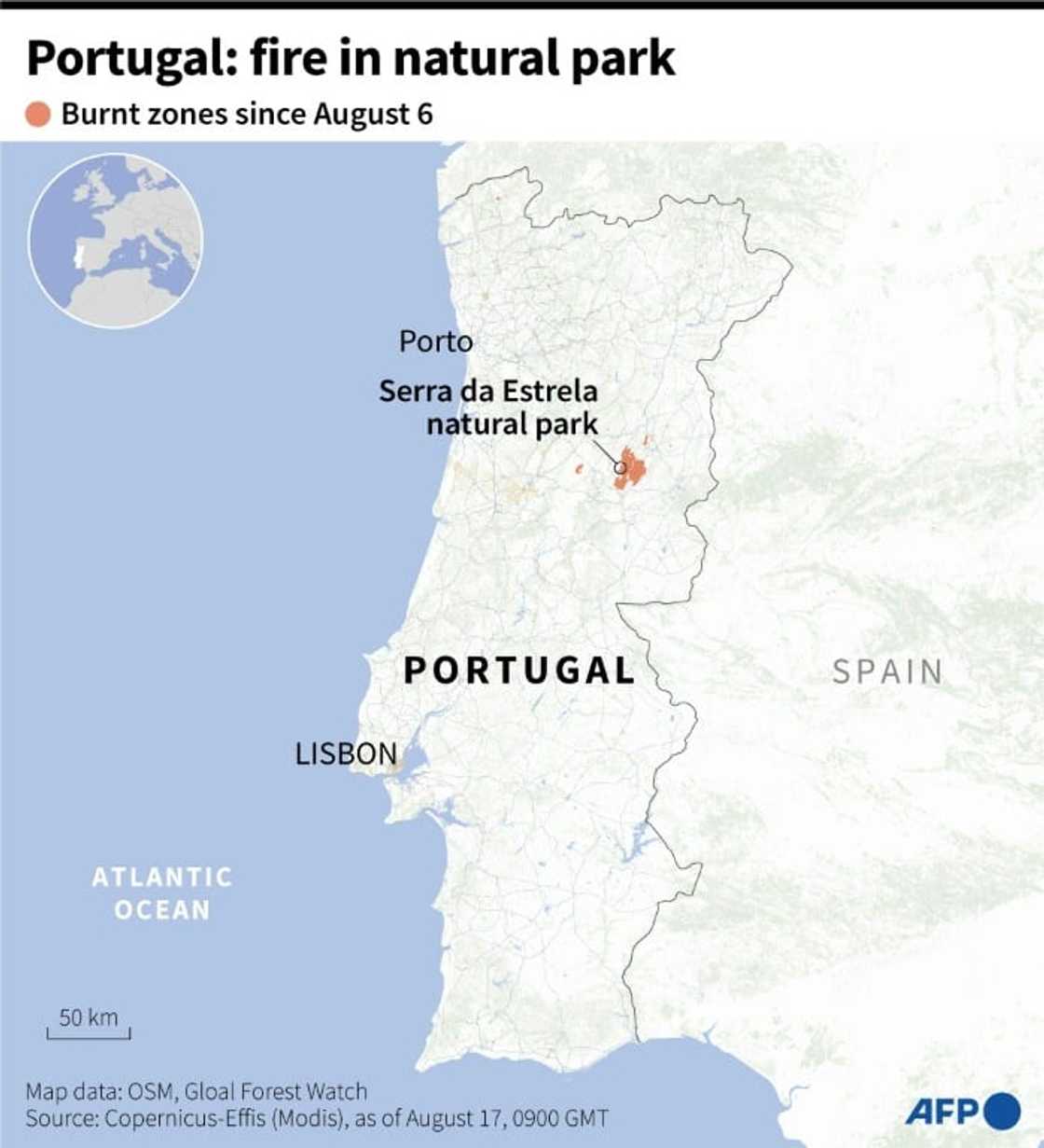 Portugal: fire in natural park Portugal: fire in natural park