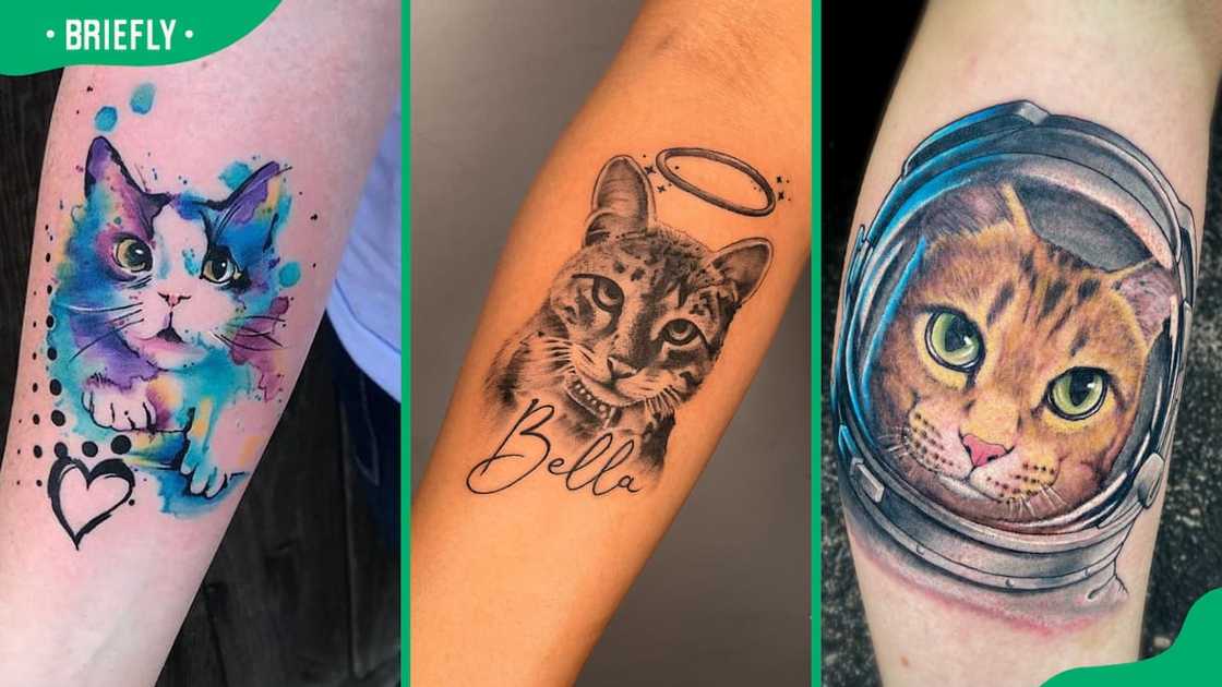 The watercolour cat tattoo (L), cat name tattoo (C), cat astronaut in space (R) The watercolour cat tattoo (L), cat name tattoo (C), cat astronaut in space (R)