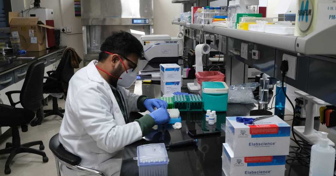 Covid 19, Omicron, Coronavirus Covid 19, Omicron, Coronavirus