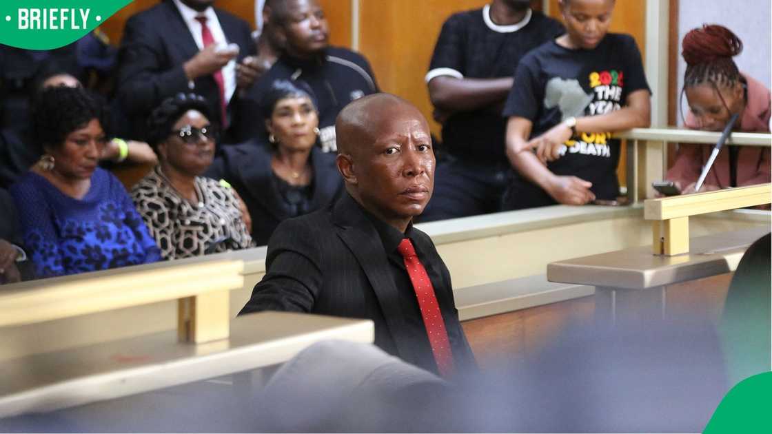 Economic Freedom Fighters (EFF) leader Julius Malema seated in the dock at the East London Regional Court in KuGompo Economic Freedom Fighters (EFF) leader Julius Malema seated in the dock at the East London Regional Court in KuGompo